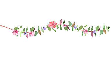 唯美水彩花藤生长花朵开放动画透明通道视频的预览图