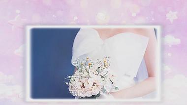 清新唯美婚礼开场相册模板会声会影模板视频的预览图
