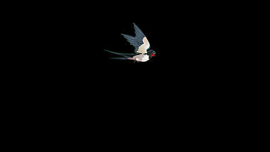 中国风水墨燕子飞翔动画透明通道视频的预览图