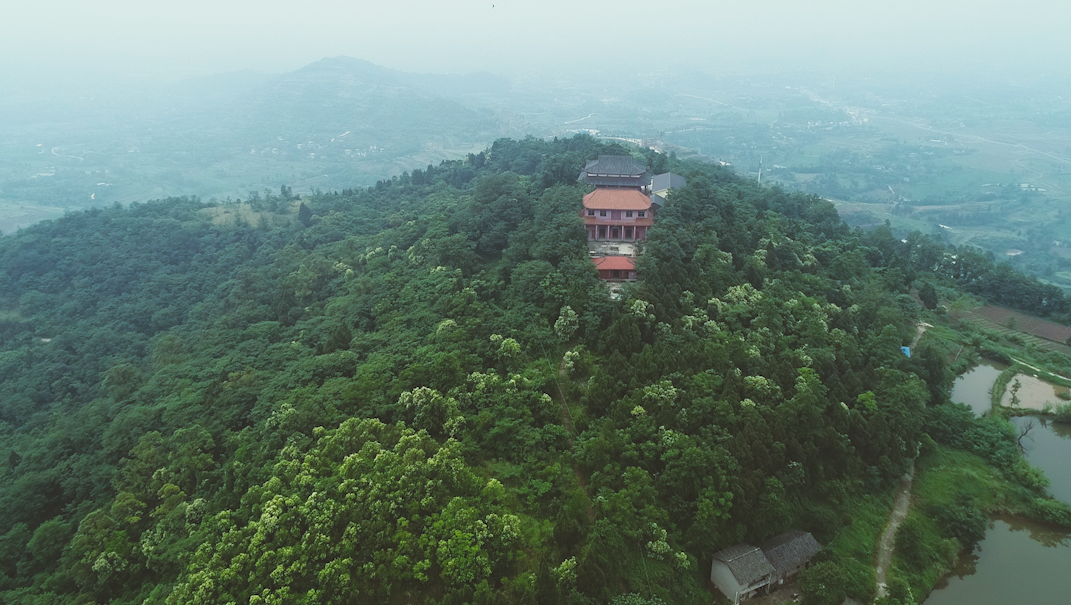 4K航拍森林中佛家寺庙视频的预览图