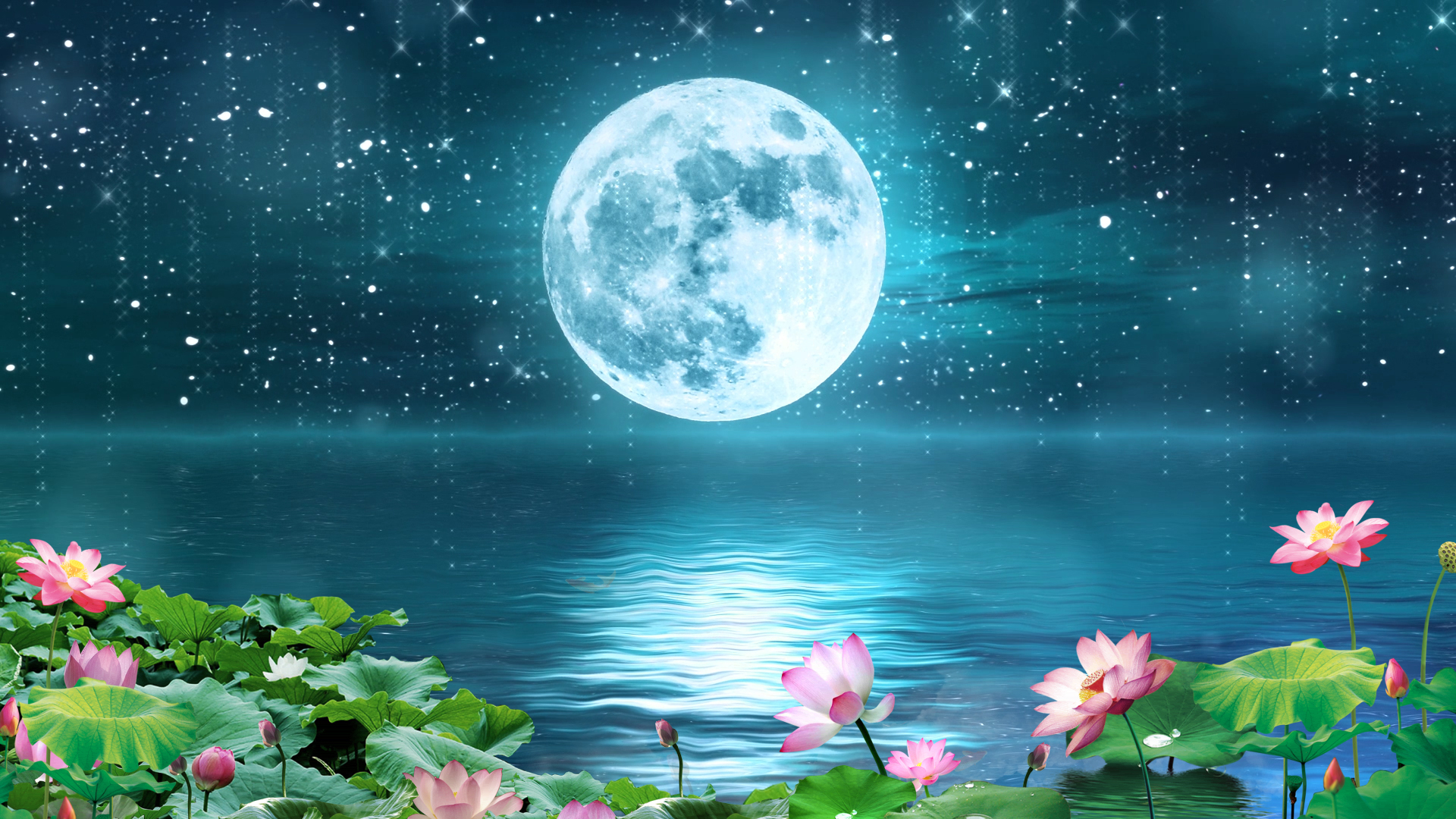 荷塘月色荷花月亮中秋节背景ae模板视频的预览图