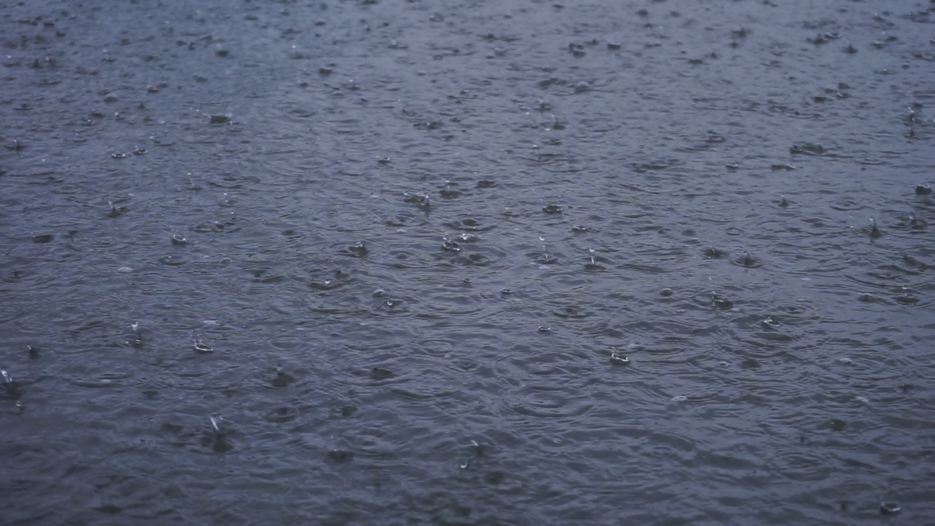 1080p雨天大雨实拍素材视频的预览图