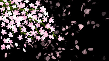 粉色花瓣飘落效果背景带通道元素视频的预览图