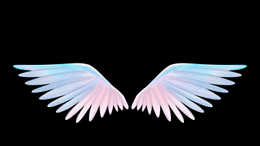 后期柔美天使翅膀动态展示视频的预览图