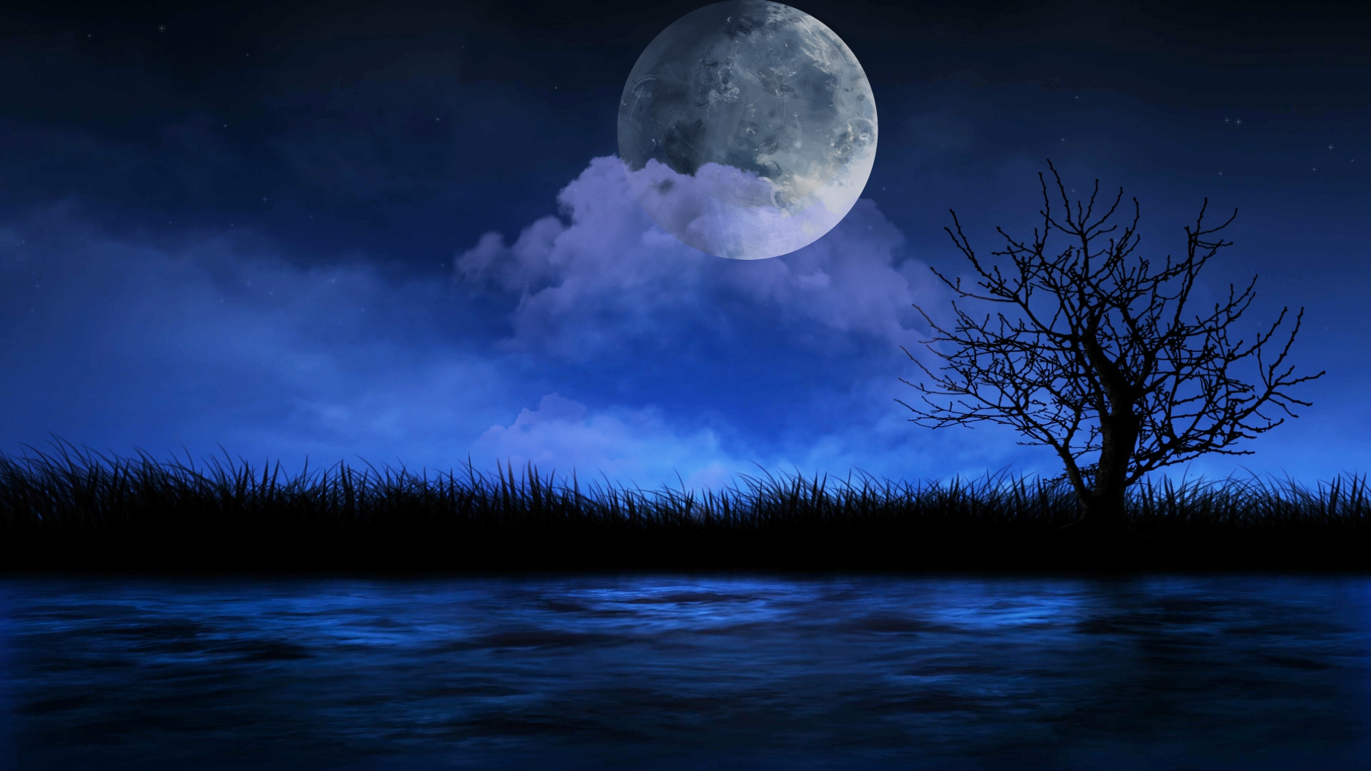 夜晚月亮夜景ae模板视频的预览图