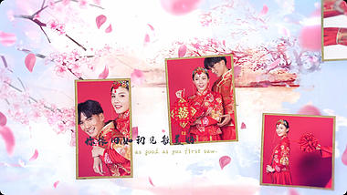 中国风花瓣清新婚礼写真AE模板视频的预览图