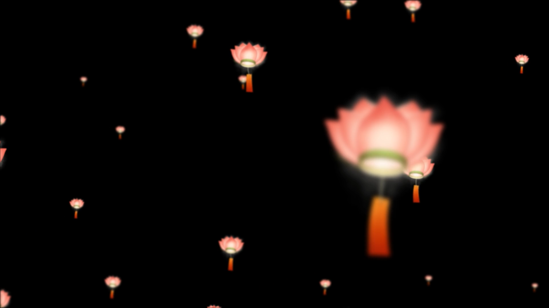 中国风后期荷花灯飘动装饰视频的预览图