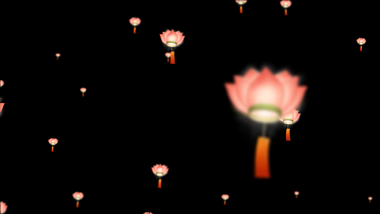 中国风后期荷花灯飘动装饰视频的预览图