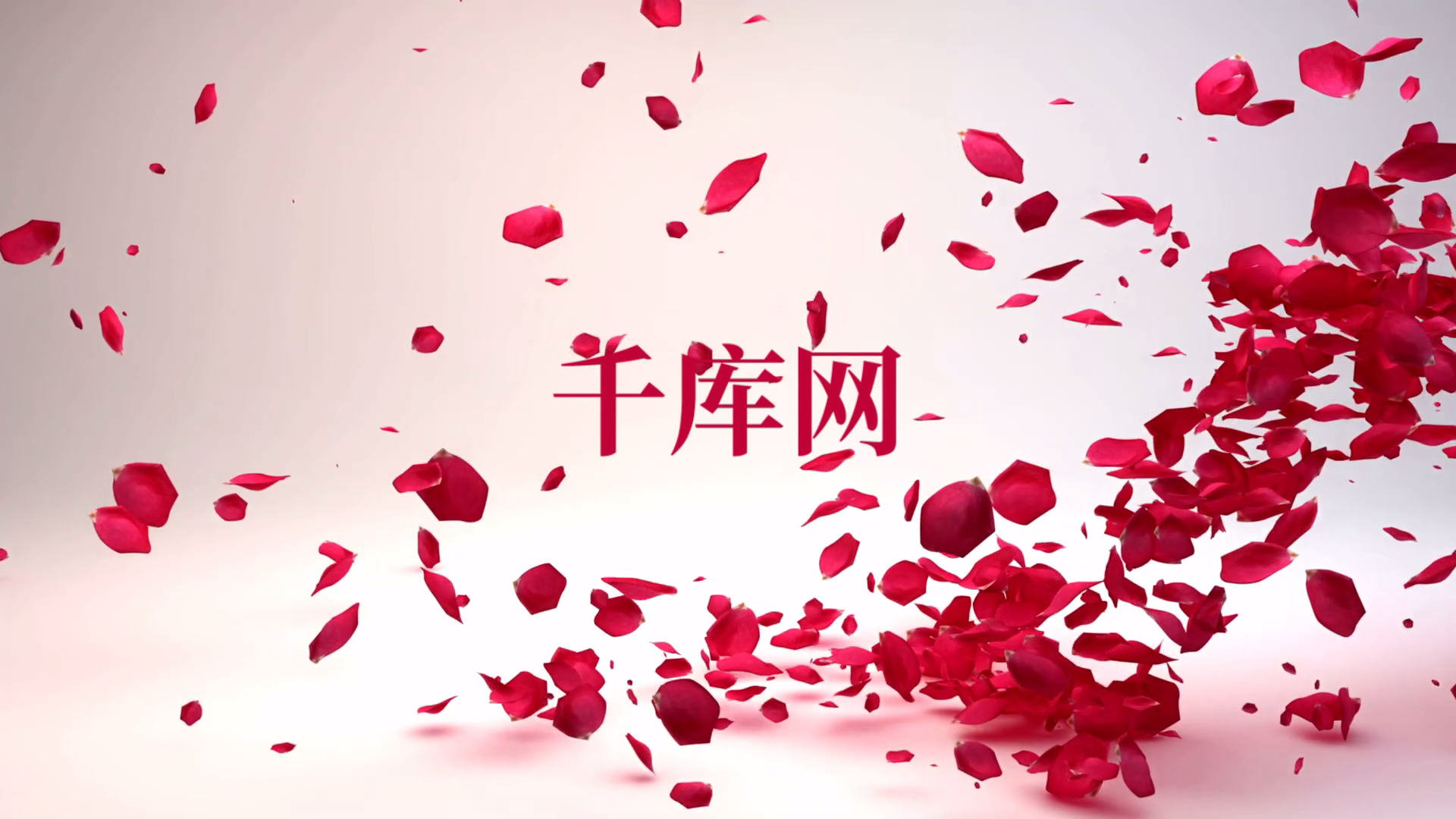 浪漫红色花瓣飘落会声会影片头模板视频的预览图