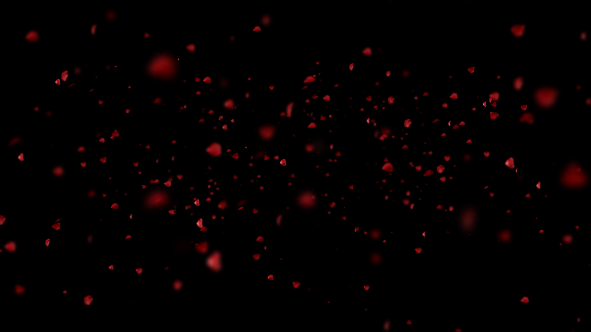 后期空间唯美玫瑰花瓣动态背景视频的预览图