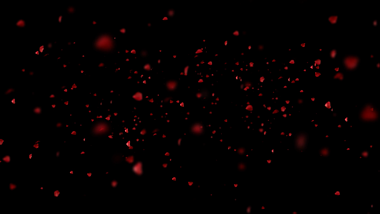 后期空间唯美玫瑰花瓣动态背景视频的预览图