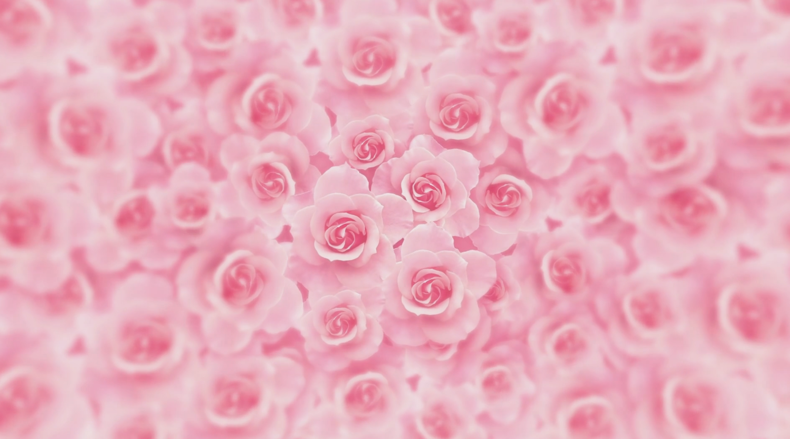 唯美婚礼LED粉色花朵旋转效果背景视频视频的预览图
