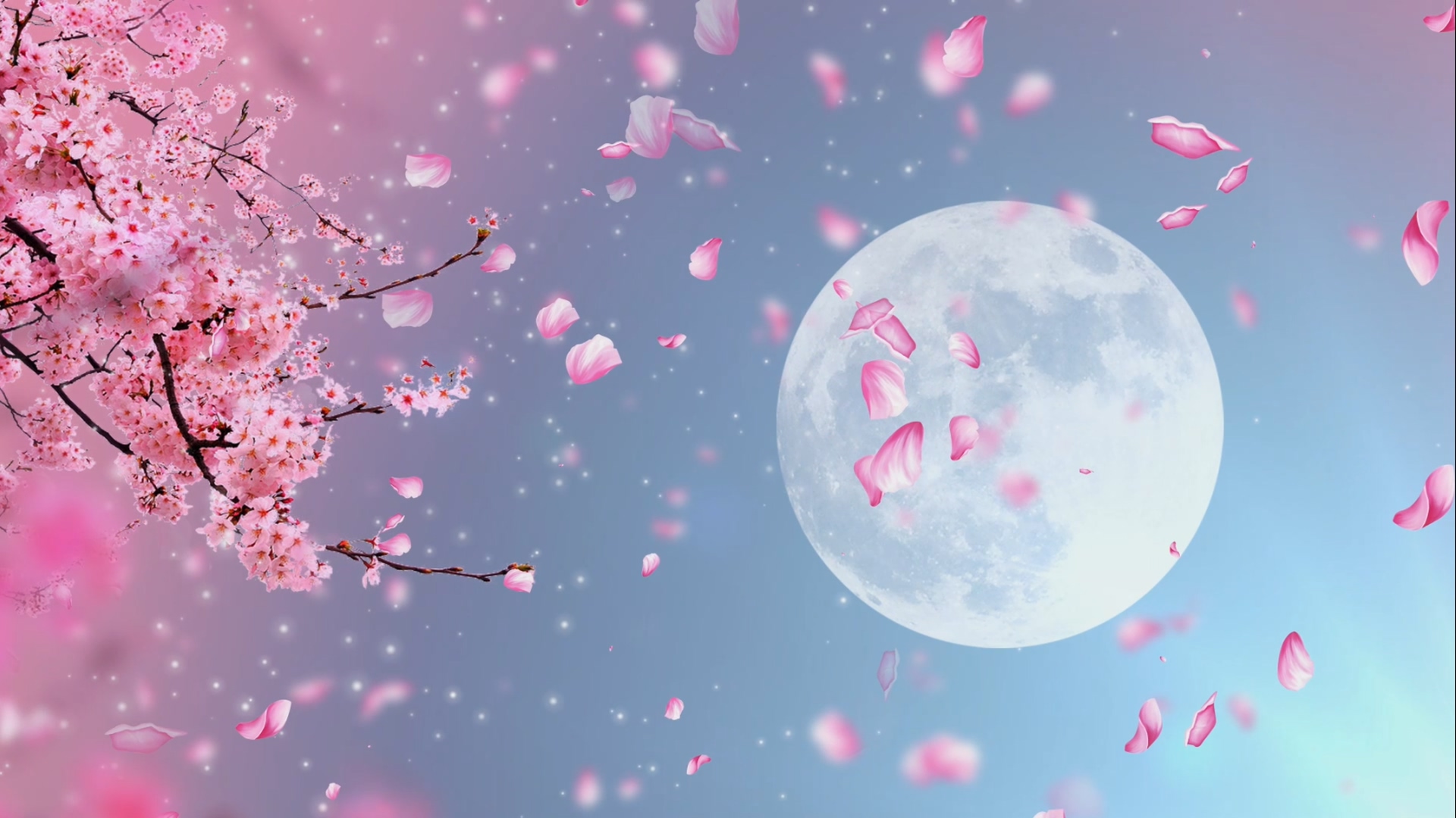 中国风唯美浪漫月亮大气粉色背景视频视频的预览图