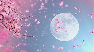 中国风唯美浪漫月亮大气粉色背景视频视频的预览图