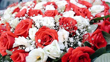 高清红玫瑰花束实拍视频视频的预览图