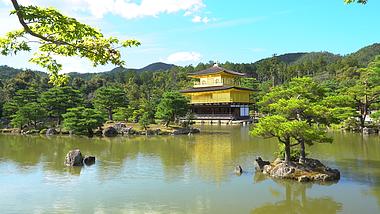 4K日本京都金阁寺远景视频的预览图