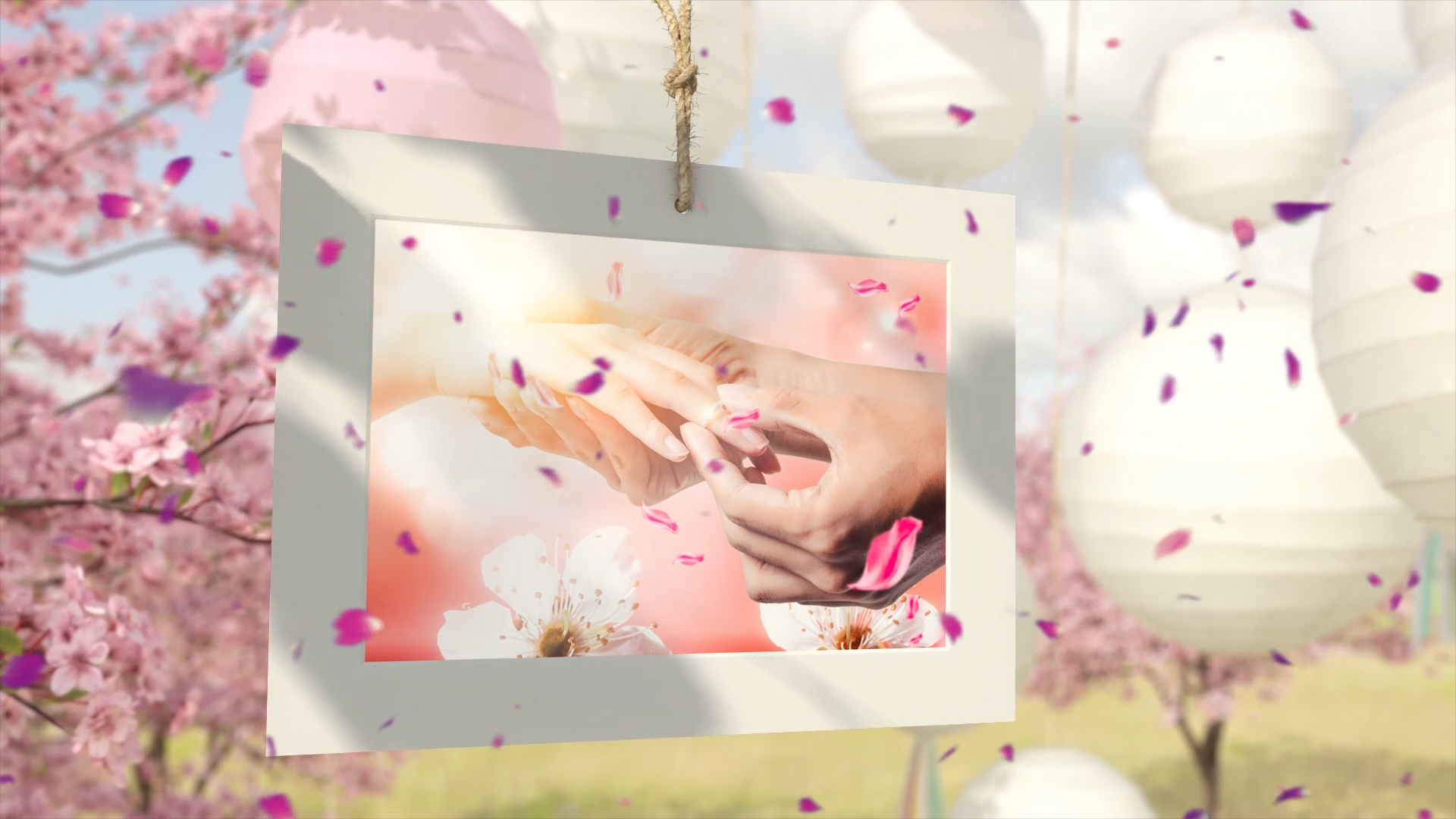 浪漫花瓣灯笼相框婚礼相册展示AE模板视频的预览图