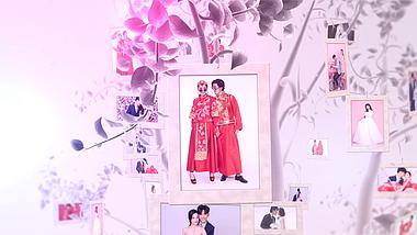 唯美梦幻三维树枝照片悬挂结婚相册视频的预览图