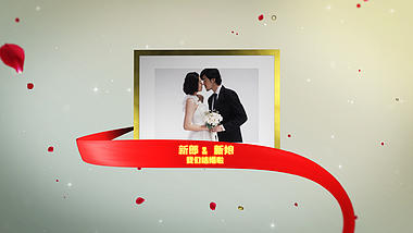 唯美花瓣飘落丝带穿梭结婚相册婚礼开场视频的预览图