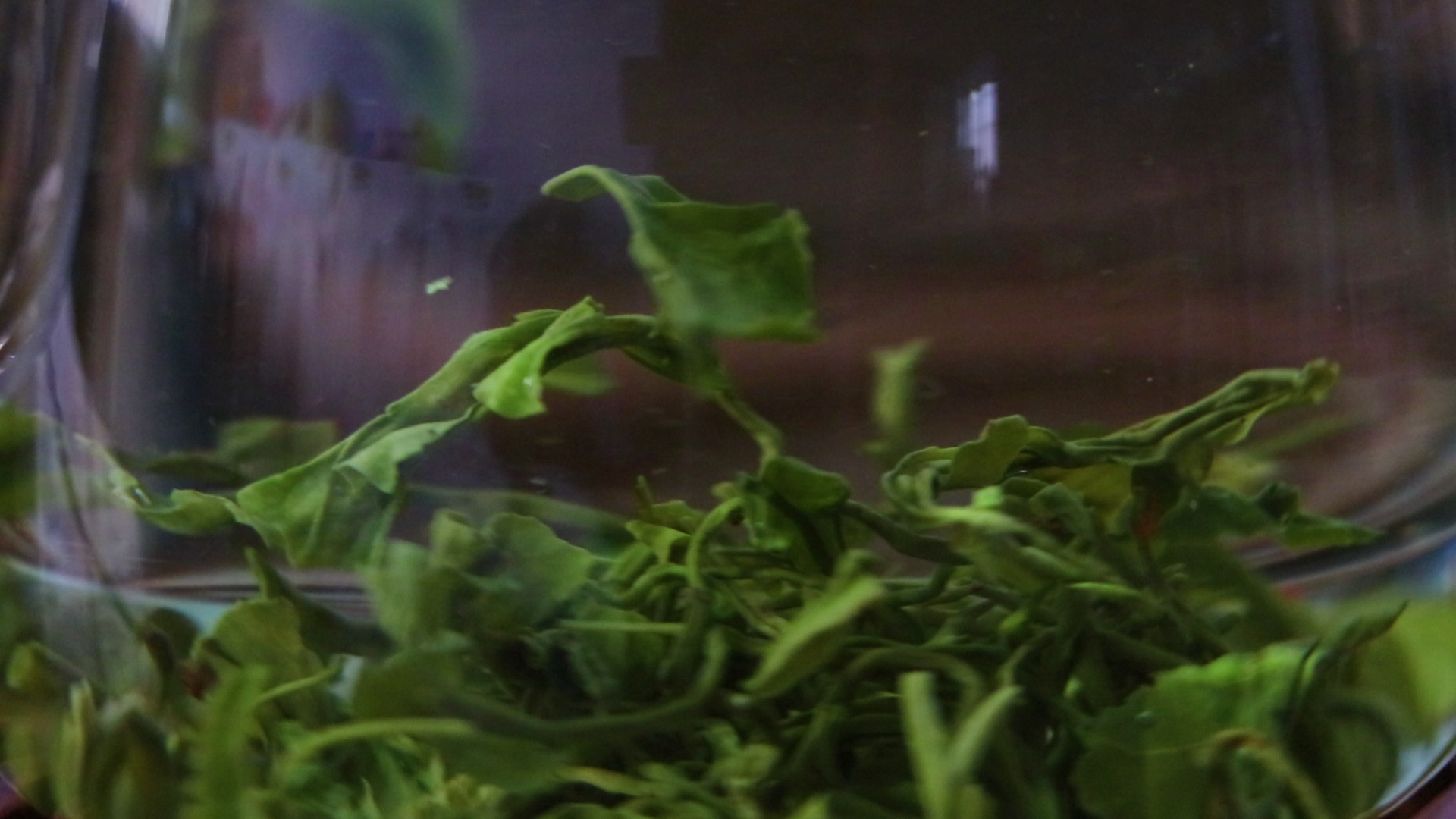 1080p实拍杯中的绿茶视频的预览图