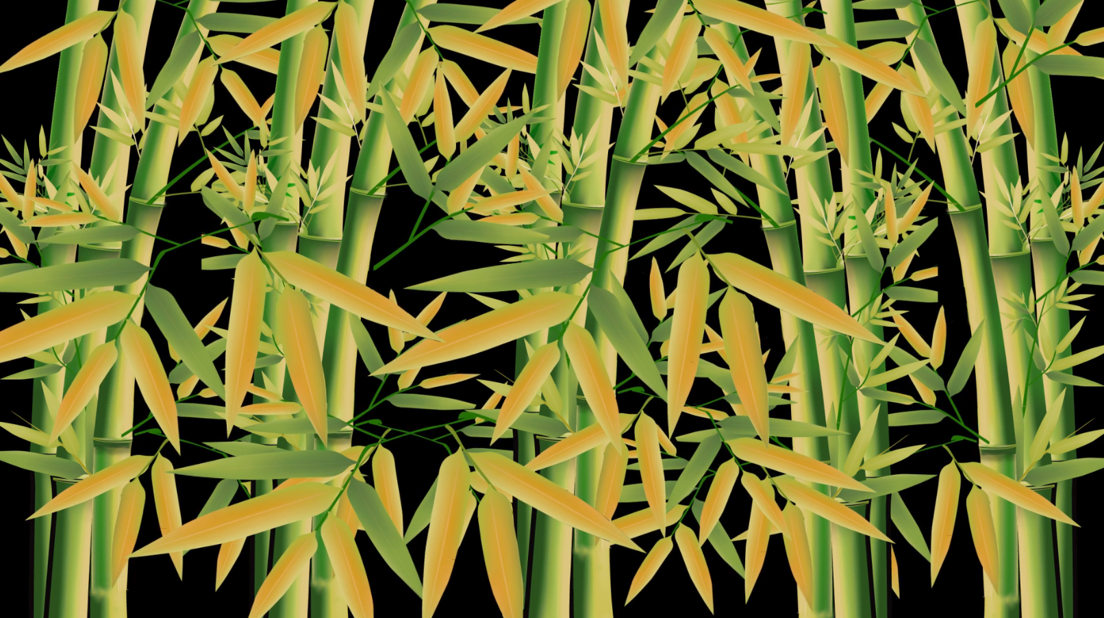 竹子竹叶后期免抠动态元素内容展示视频的预览图