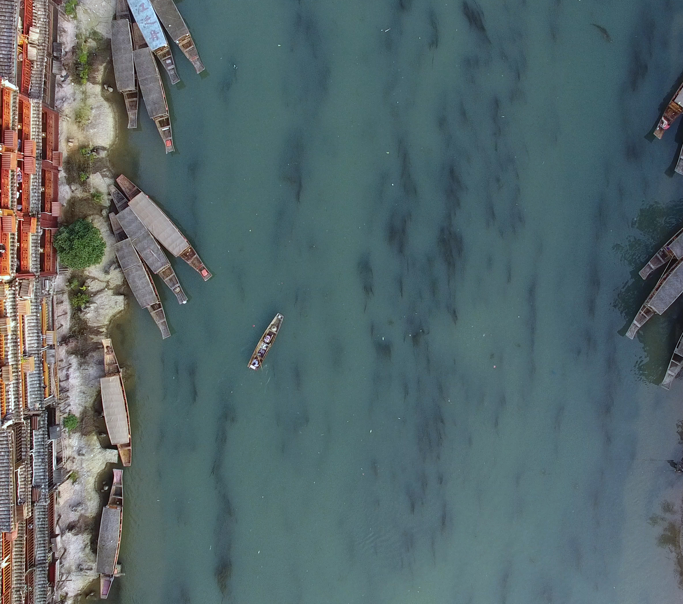 4K垂直航拍沱江泛舟视频的预览图