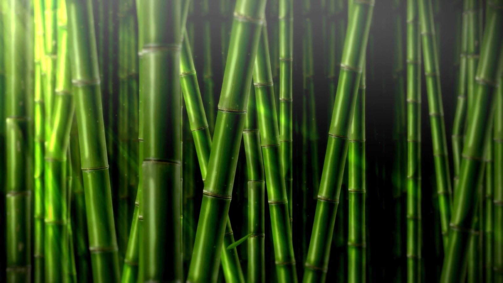竹子竹叶飞舞下落大屏循环背景展示视频的预览图