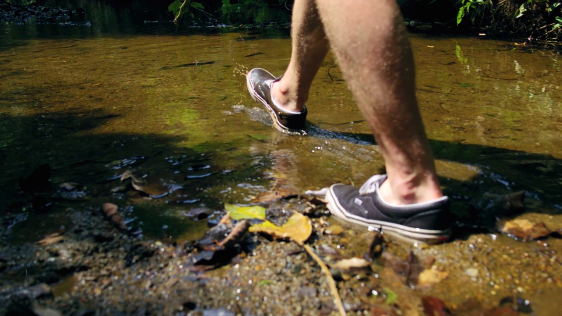 1080P森林湿地涉水徒步行走实拍视频的预览图