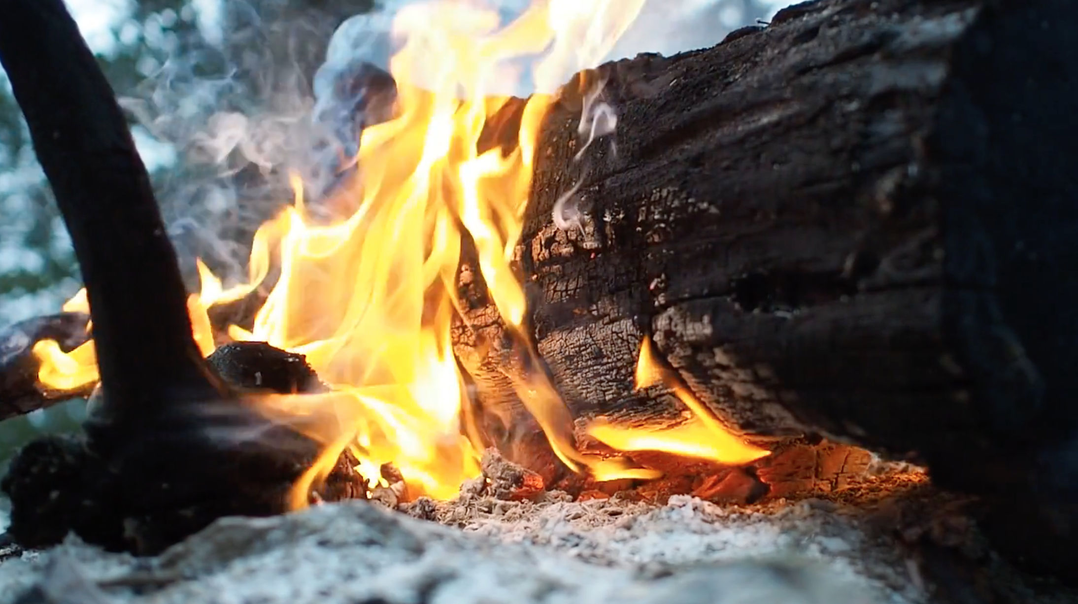 1080P木头燃烧火焰高清视频视频的预览图