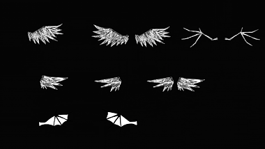 8款手绘卡通免抠翅膀动态后期包装视频的预览图