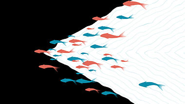 6种卡通鱼儿游过转场透明通道视频的预览图