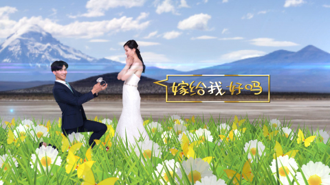 唯美婚礼婚庆ae模板视频的预览图