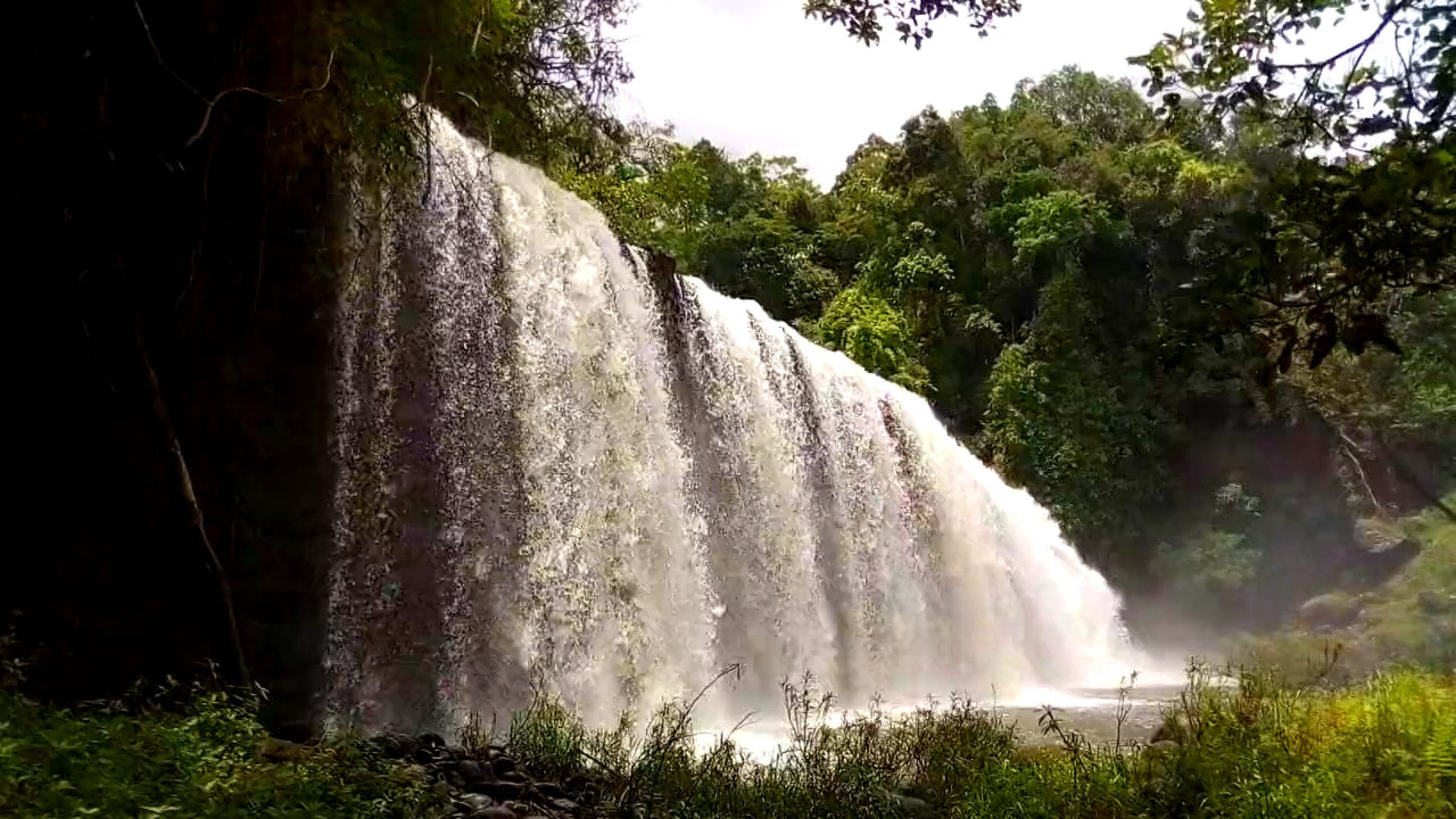 1080P森林壮观流水瀑布实拍视频的预览图