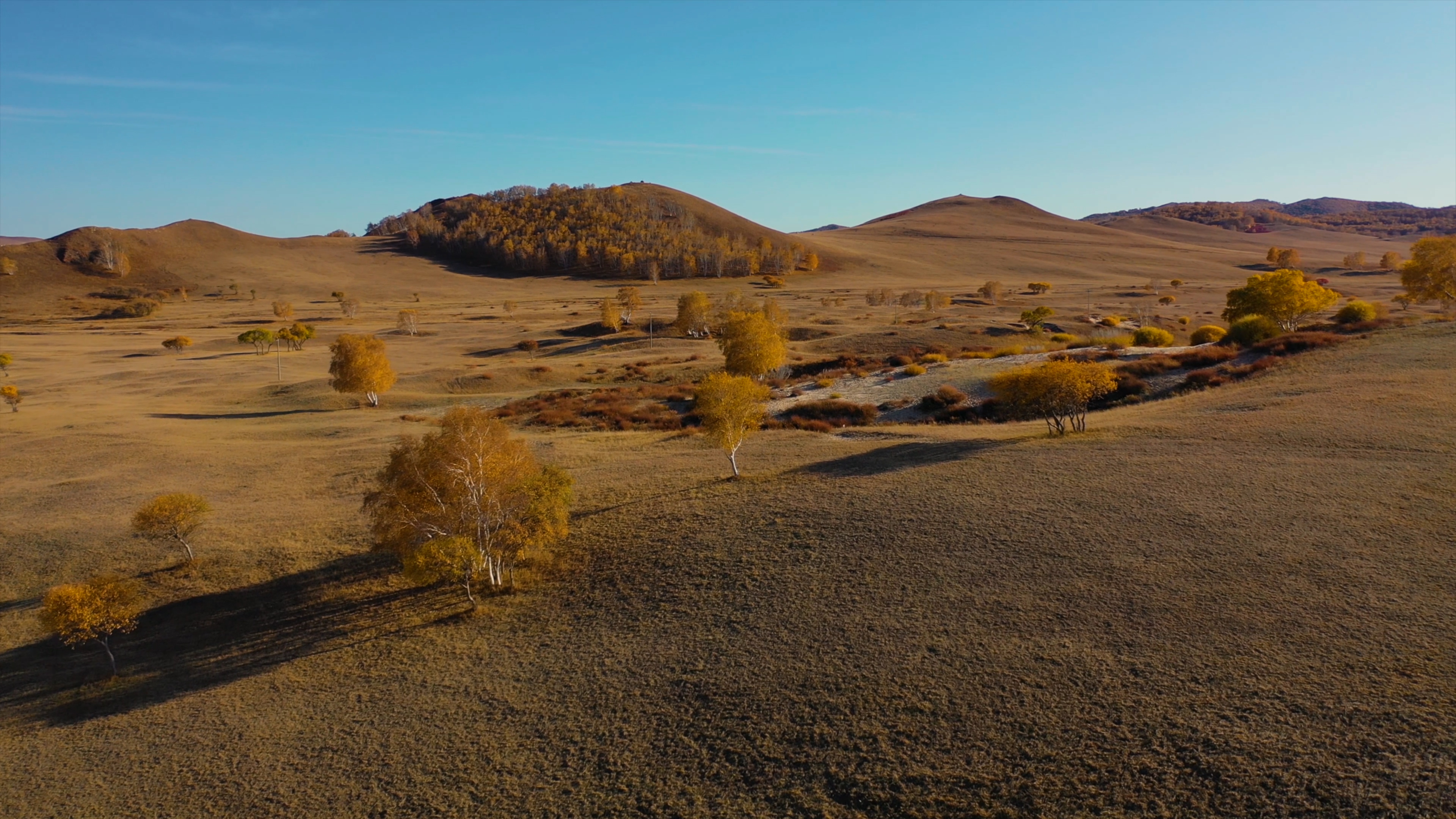 4K航拍高清秋季草原光影秋天的草原视频的预览图