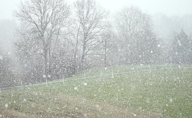 1080P初冬大雪唯美高清视频视频的预览图