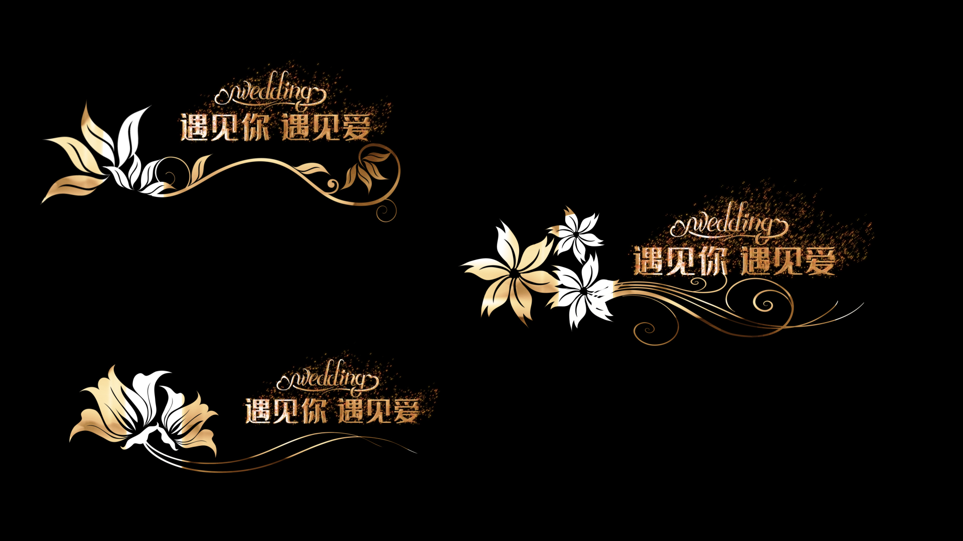 金色花纹婚礼字幕ae模板视频的预览图