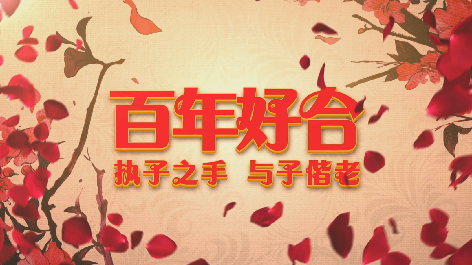 中国风红色喜庆结婚百年好合婚礼开场片头视频的预览图
