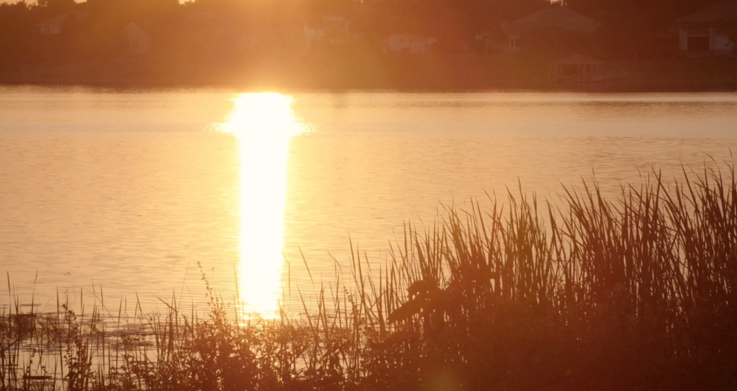1080P公园湖水黄昏唯美高清视频视频的预览图