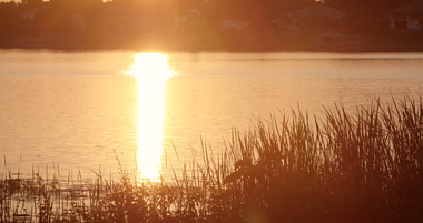 1080P公园湖水黄昏唯美高清视频视频的预览图