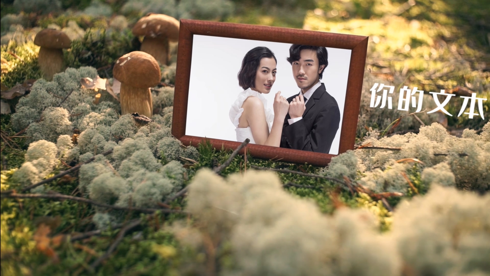清新草地实拍结婚相册回忆相册图文pr视频的预览图