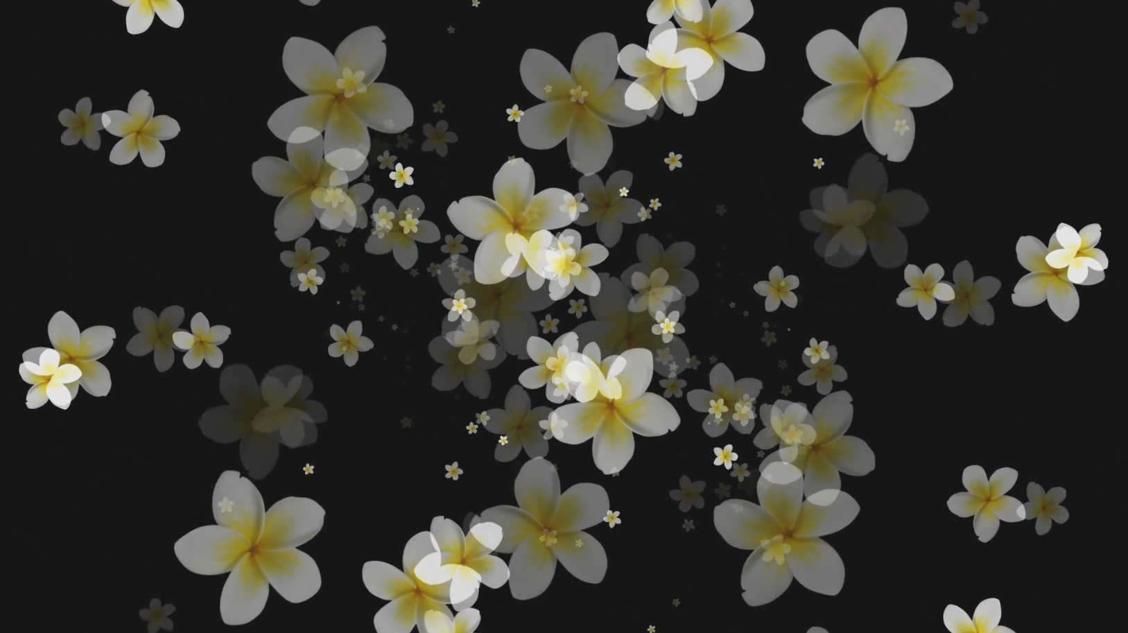 唯美浪漫小清新花朵冲屏转场修饰特效视频的预览图