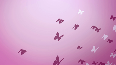 蝴蝶飞舞花瓣LED唯美大屏幕循环背景视频的预览图