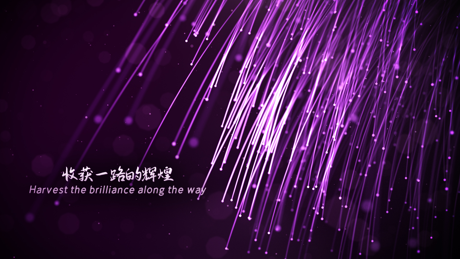 大气高端紫色发散粒子线条年会文字开场ae模板视频的预览图