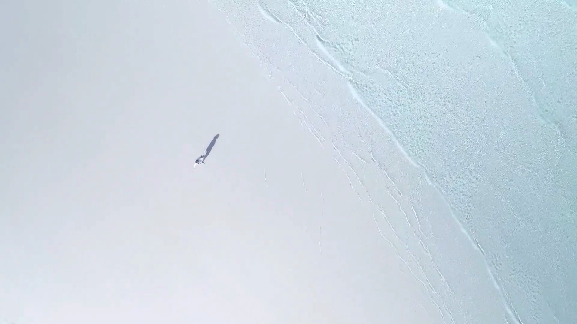 1080p航拍白色沙滩人物行走实拍视频的预览图