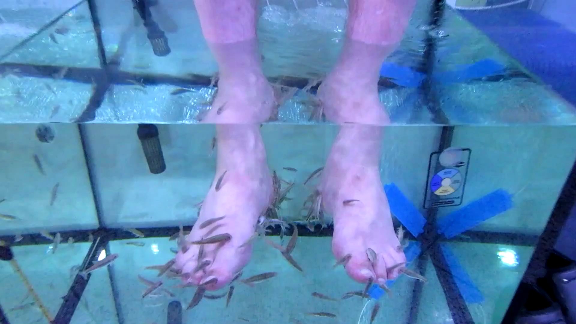 1080p小鱼足疗养生高清实拍视频的预览图