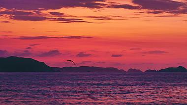 1080p夕阳火烧云大海海鸥航拍实拍视频的预览图