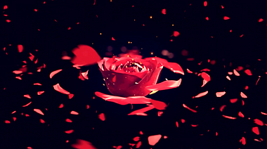 玫瑰旋转花瓣效果LED循环大屏背景展示视频的预览图