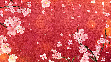 锦衣之下古典中国风桃花背景ae模板视频的预览图
