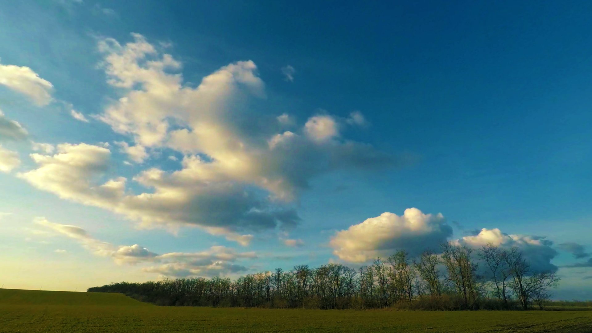 1080p春季草坪蓝天白云延时摄影视频的预览图
