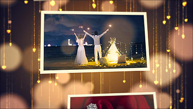 浪漫光帘婚礼婚庆相册相片展示pr模板视频的预览图